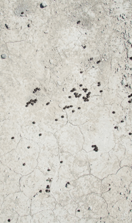  Studio Daniel Gremme