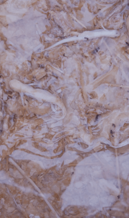  Studio Daniel Gremme