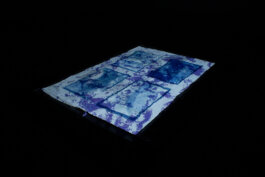  Studio Daniel Gremme