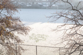  Studio Daniel Gremme