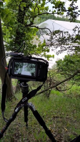  Studio Daniel Gremme