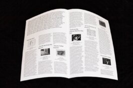 Studio Daniel Gremme